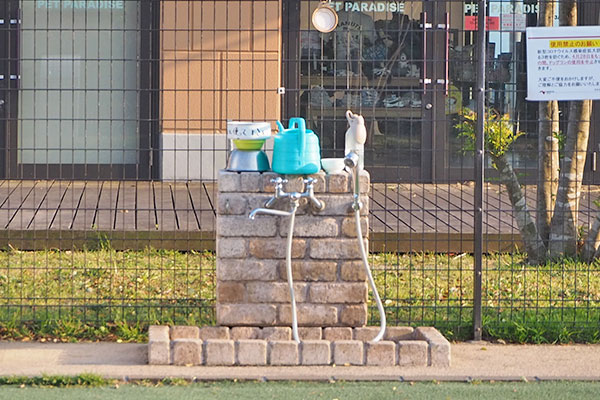 わんこ専用の水飲み場もあります。