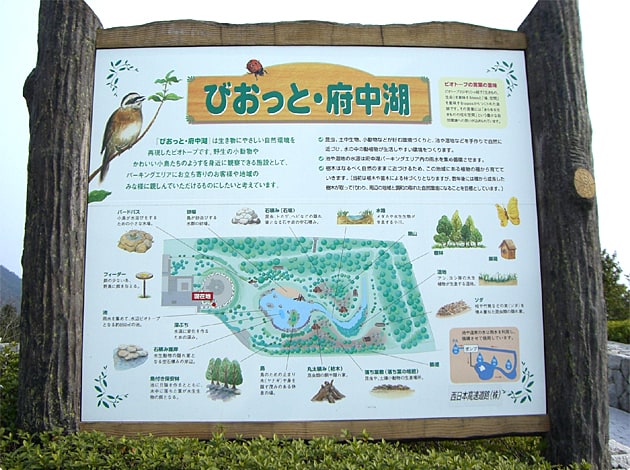 ビオトープもありますよ。