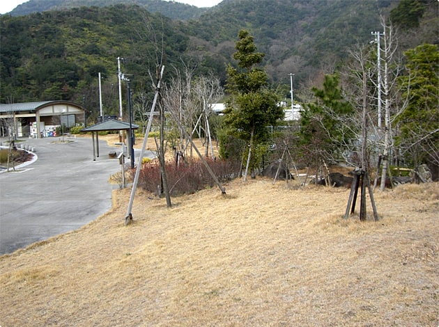 広い緑地があります。こちらでわんこと休憩タイムをとりましょう。