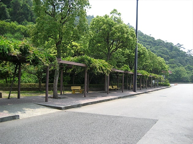 生い茂った木の下に置かれたベンチ。時間帯によっては木陰になるので休憩場所にはピッタリです。