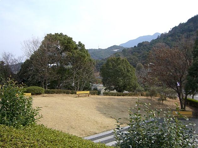 ちょっとした芝生の緑地もあります。