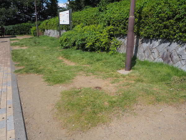 緑地があります。