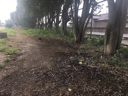 広めの緑地があります。