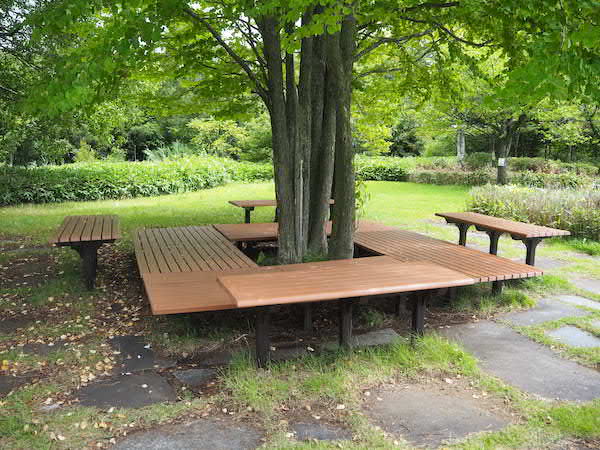 緑地内にはベンチが設置されています。