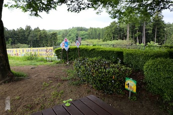 緑地があります。