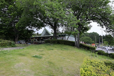 傾斜のある緑地もあります。