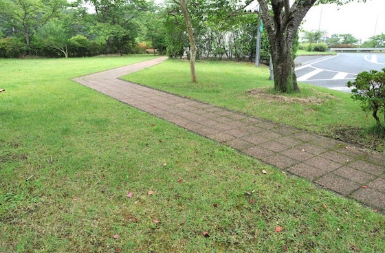 緑地には整備された遊歩道があります。