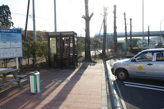 道路の脇に小さめの緑地があります。