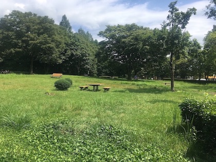 お散歩するには十分な広さの緑地があります。