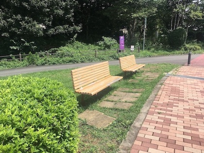 ベンチも設置されています。