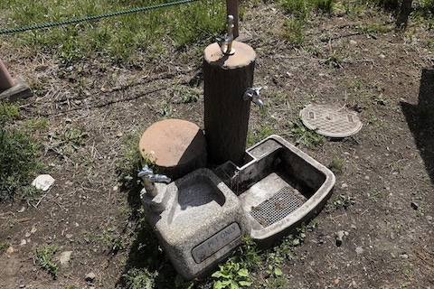 わんこ専用水飲み場があります。