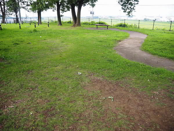 お散歩には十分な広さの緑地があります。