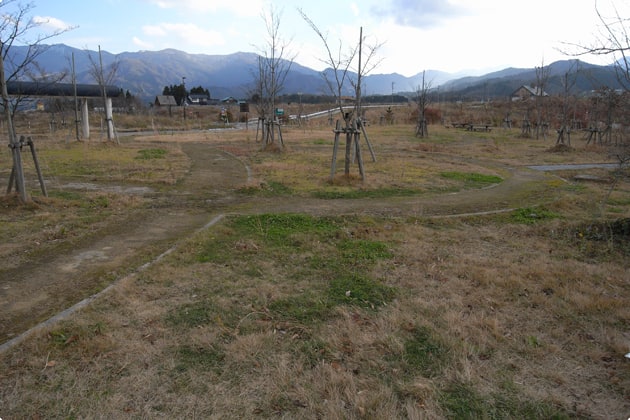 建物の南側に広がる緑地。