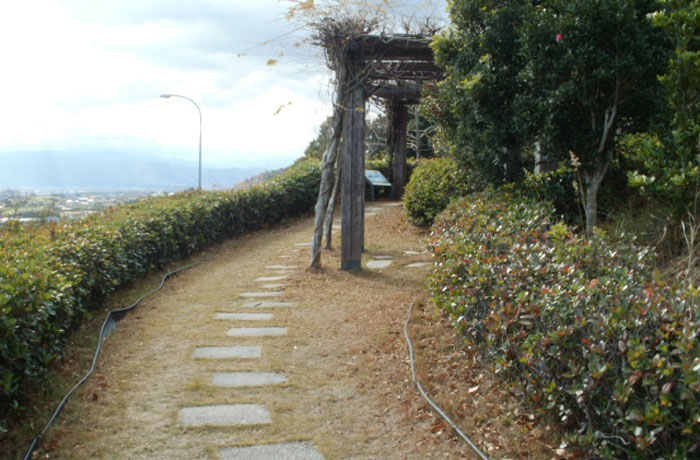 展望所へ向かう遊歩道です。