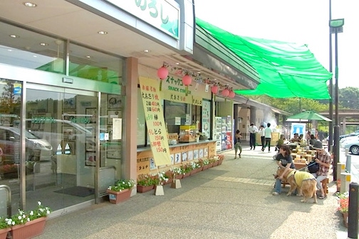 緑に囲まれた高台のあるPAです。