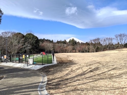 広大な緑地の中にドッグランがあります。