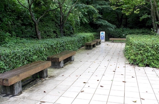 ベンチも設置されています。