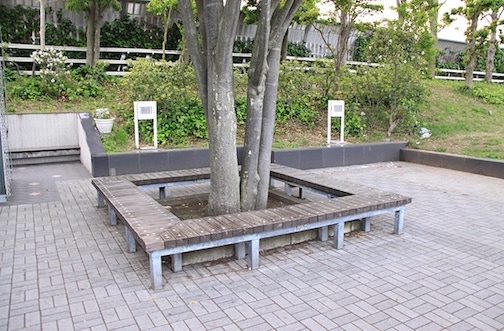 緑地付近にベンチも設置されています。