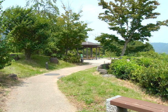 お散歩に適した遊歩道があります。