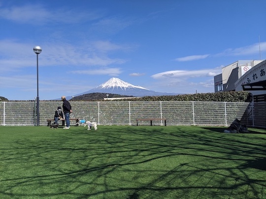 富士山を一望できるドッグランがあります。