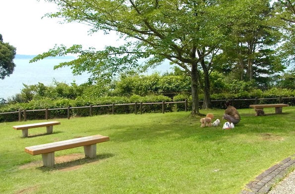 平坦な緑地にもベンチが設置されています。