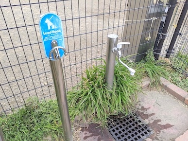 わんこ専用のリードフックと水道があります。