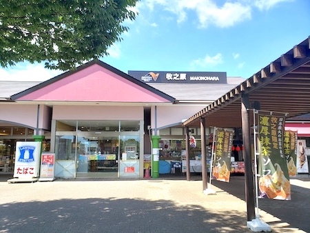 広い緑地とわんこ用トイレ・ゴミ箱の揃っているSAです。