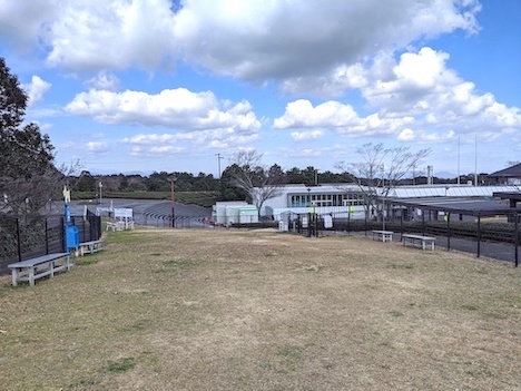 直線距離が50mほどあります。