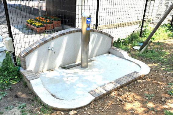 わんこ専用のトイレも設置されています。
