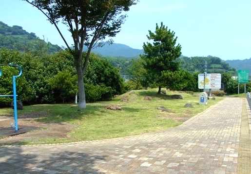 お散歩にちょうど良い広さの緑地があります。