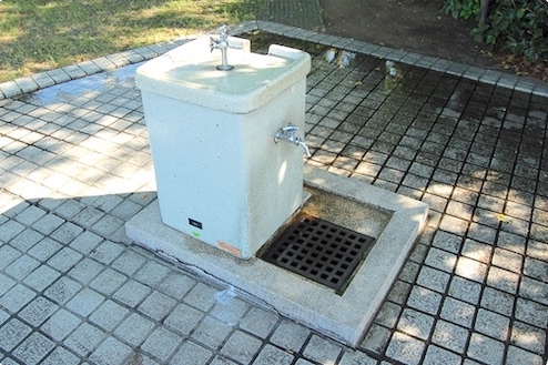 緑地の中に水道が設置されています。