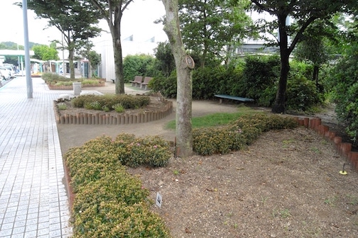 ちょっとした緑地があります。