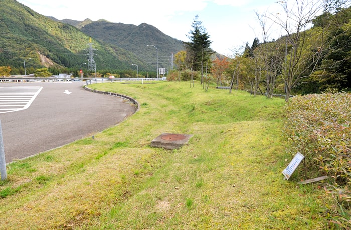 入口側の緑地です。