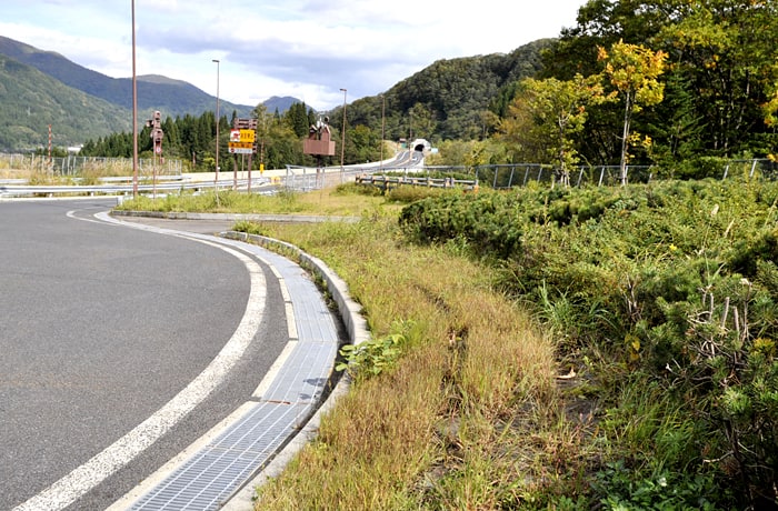 入口側の緑地はこちら！