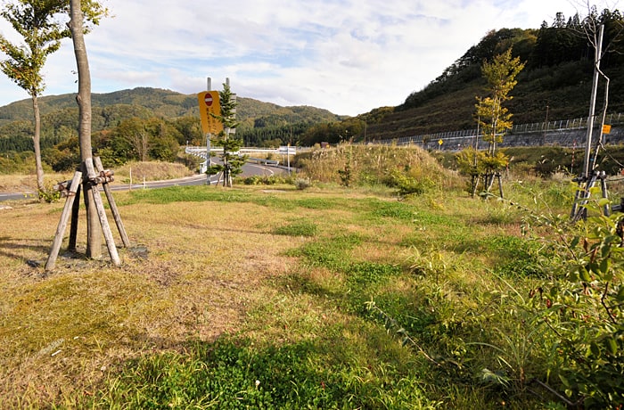 入り口側の緑地です。