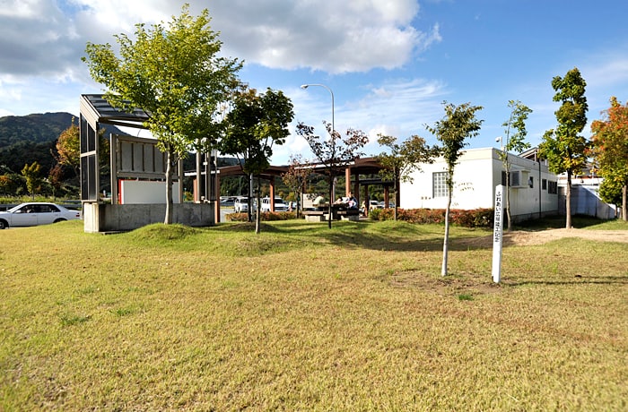 緑地は建物のすぐ隣に。わんこと一緒にお散歩しましょう。
