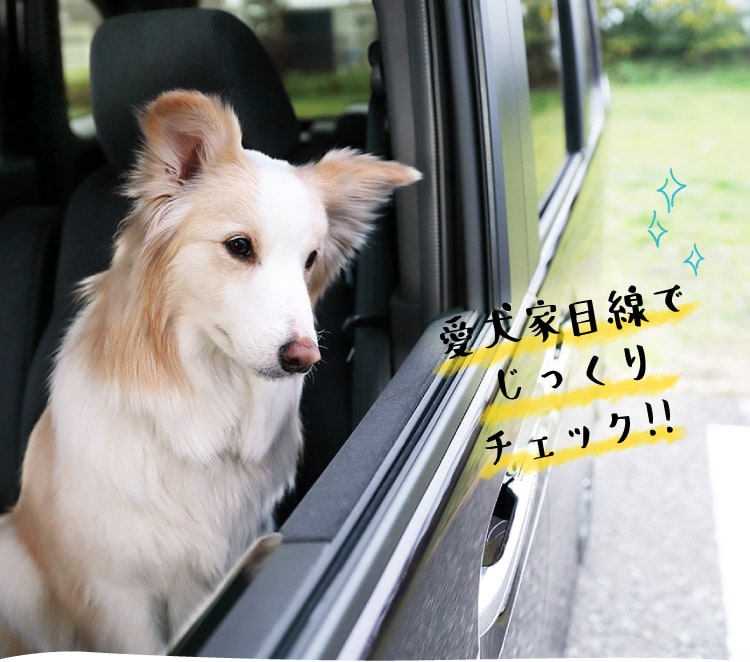 わんこにやさしいクルマ Honda Dog