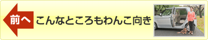 前へ「こんなところもわんこ向き」