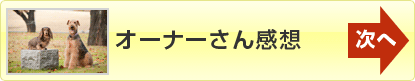 次へ「オーナーさん感想」