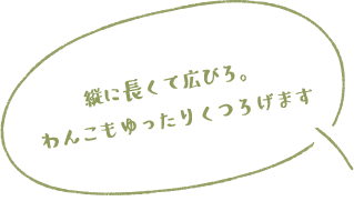 縦に長くて広びろ。わんこもゆったりくつろげます