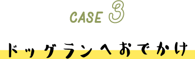 CASE 3 ドッグランへおでかけ