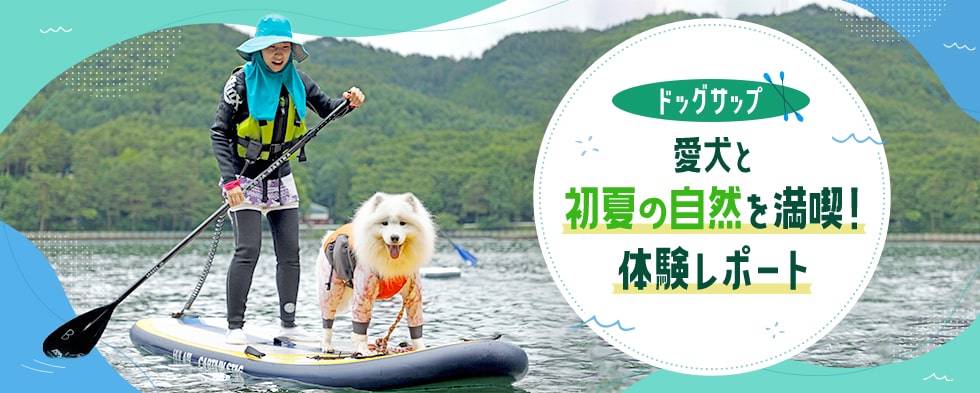 【ドッグサップ】愛犬と初夏の自然を満喫!体験レポート