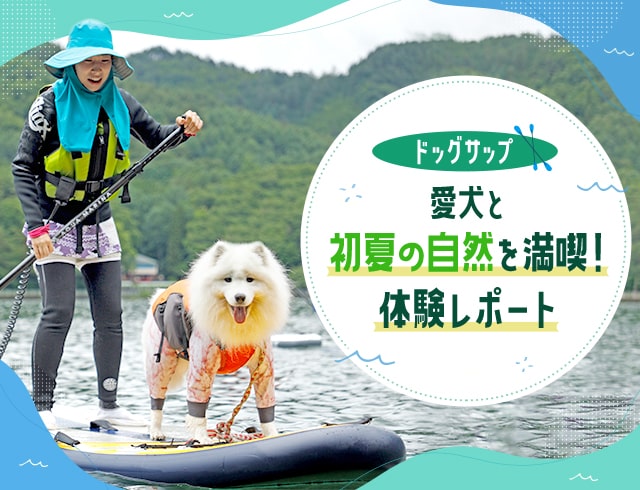 【ドッグサップ】愛犬と初夏の自然を満喫!体験レポート