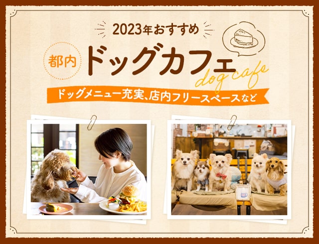 【2023年おすすめ】都内ドッグカフェ！ドッグメニュー充実、店内フリースペースなど