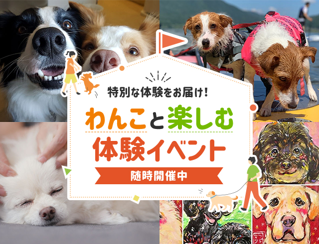特別な体験をお届け！ わんこと楽しむ体験イベント 随時開催中
