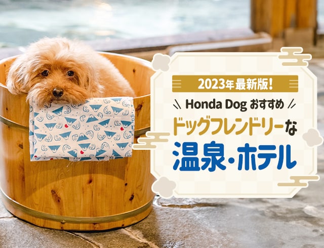 【2023年最新版！Honda Dogおすすめ】ドッグフレンドリーな温泉・ホテル