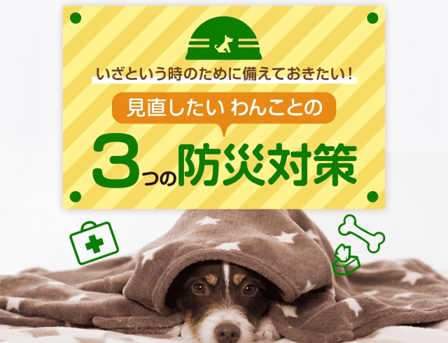 いざという時のために備えておきたい！見直したいわんことの３つの防災対策