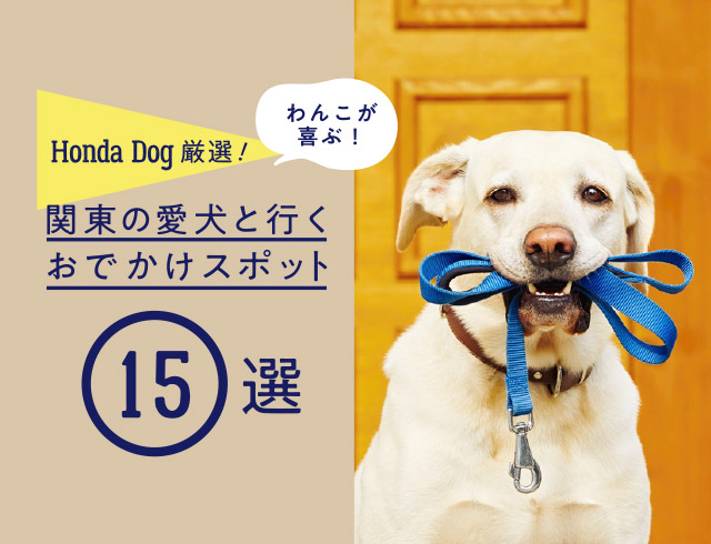 Honda Dog厳選！わんこが喜ぶ！関東の愛犬と行くおでかけスポット15選