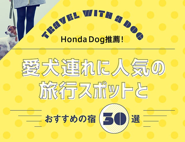 Honda Dog推薦！愛犬連れに人気の旅行スポットとおすすめの宿30選