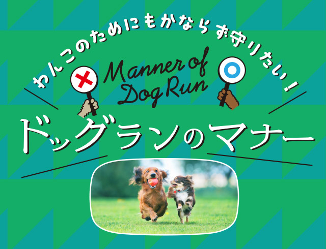 わんこのためにもかならず守りたい！ドッグランのマナー